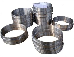 Steam Turbine Gland Seal